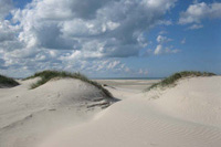 Dünenlandschaft an der Westküste 